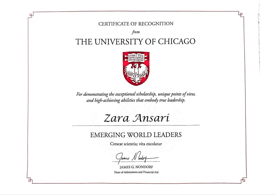 Chicago Emerging World Leaders